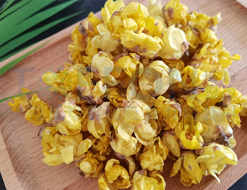 臘梅花凍干，食品凍干機(jī)應(yīng)用于臘梅花凍干案例