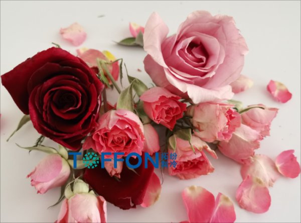 花茶冷凍干燥機(jī)解決方案